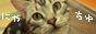 �ɂ�*����